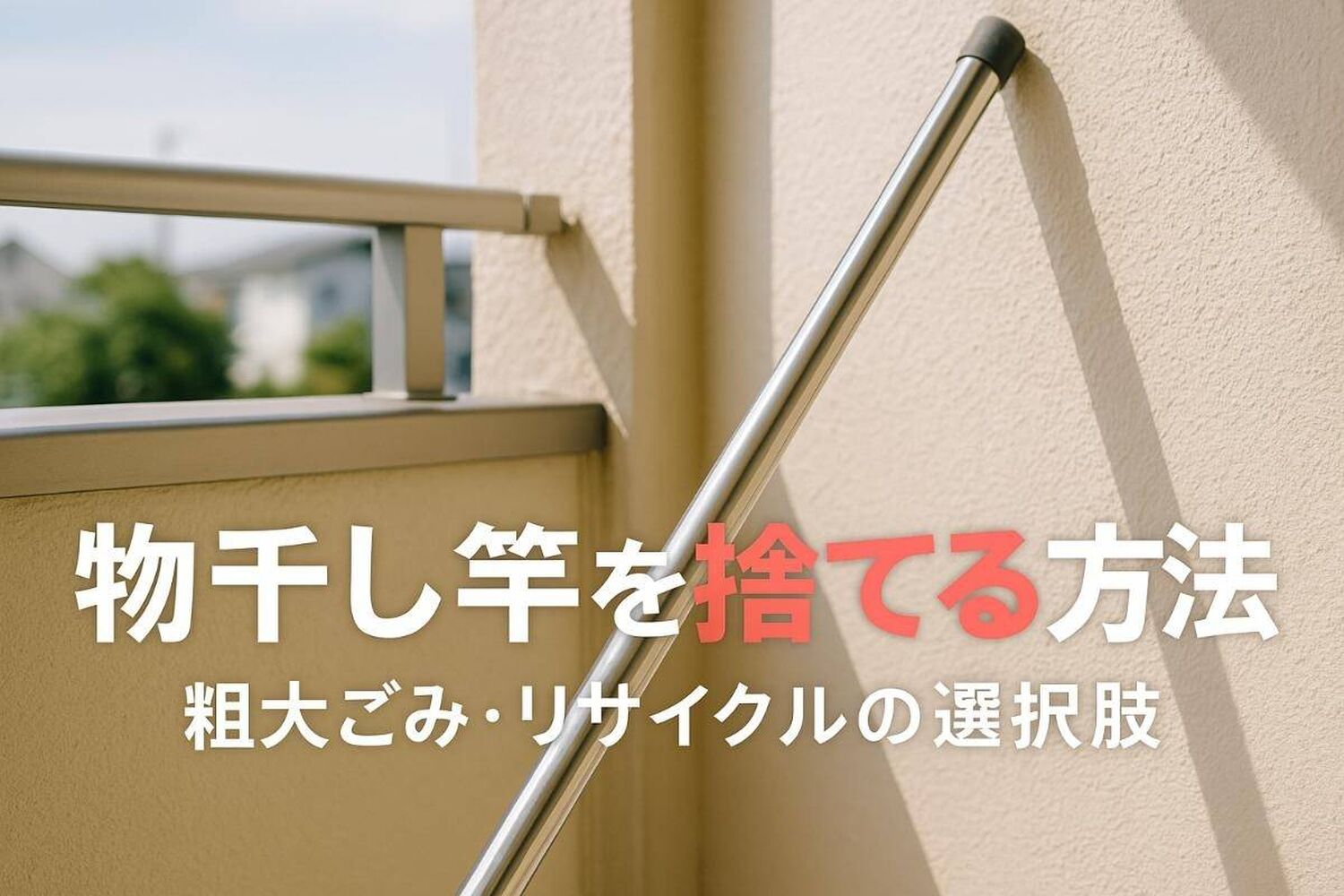 画像1569